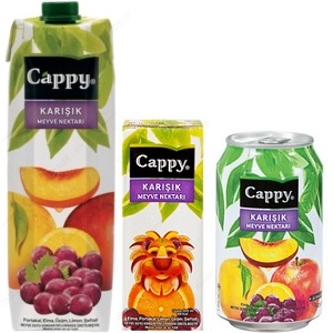 cappy karışık meyve nektarı