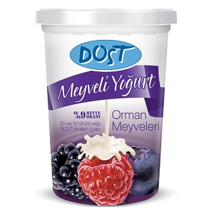 Dost Orman Meyveli Yoğurt